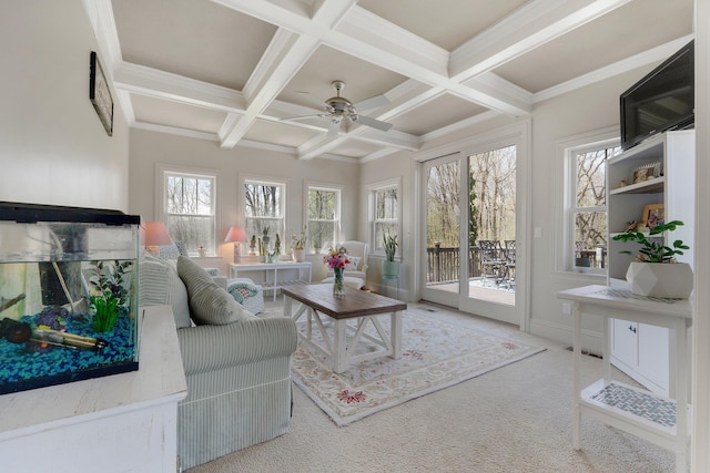 living area featuring ornamental molding, beam ceiling, ceiling fan, coffered ceiling, and carpet