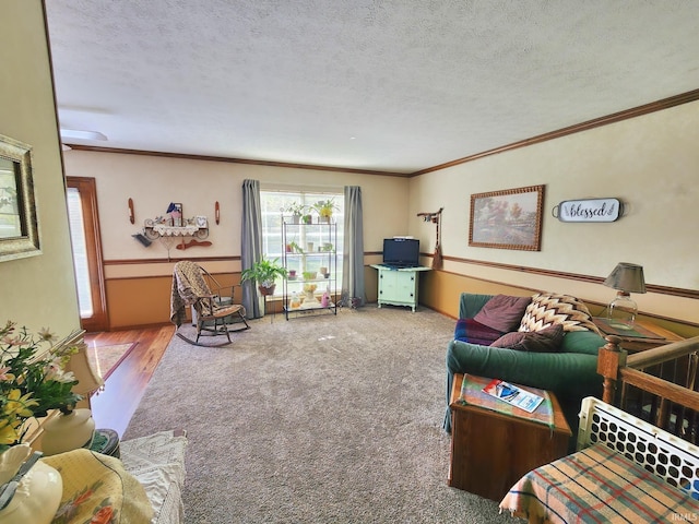 living area with crown molding, carpet, a textured ceiling, and wood finished floors