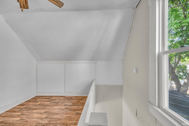 spacious closet featuring wood finished floors