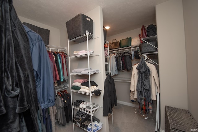 spacious closet with carpet
