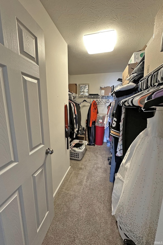 walk in closet with carpet flooring