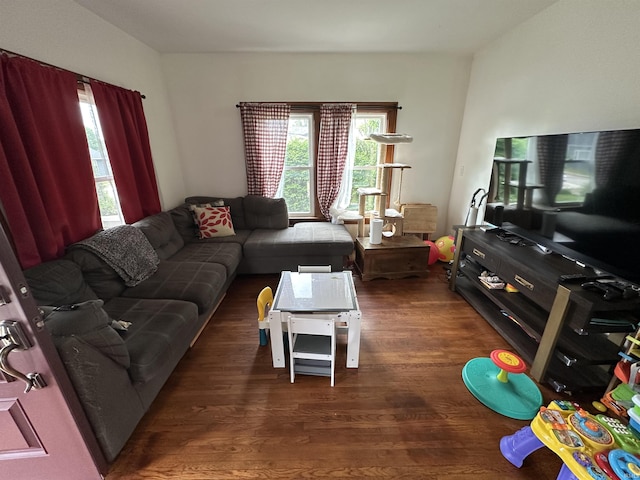 living area featuring a wealth of natural light and dark wood-type flooring