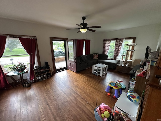 living room with ceiling fan and hardwood / wood-style flooring