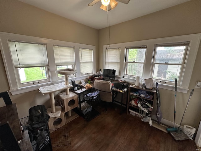 office area with a ceiling fan and dark wood-type flooring