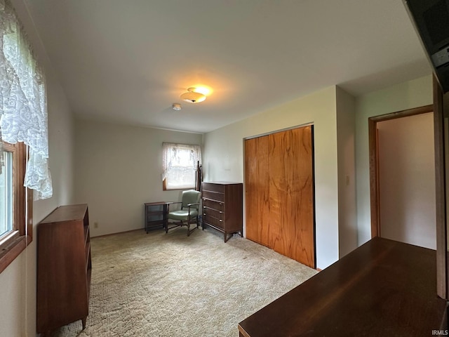 office area featuring carpet flooring
