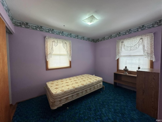 bedroom with carpet floors
