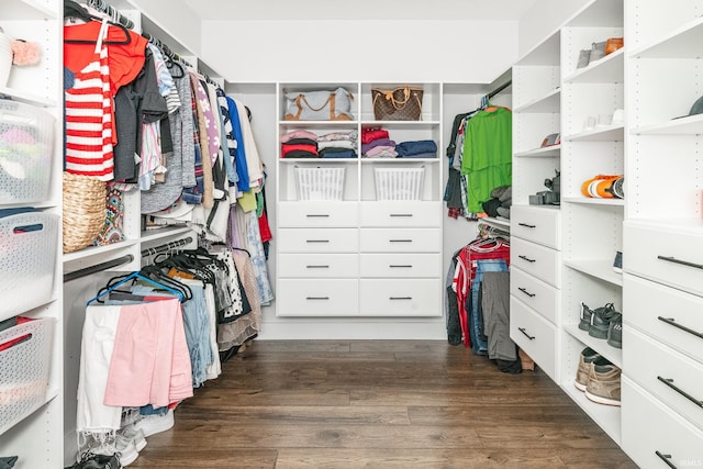 1284 E Zinnia Dr, Bloomington, IN 47401 - spacious closet with wood finished floors