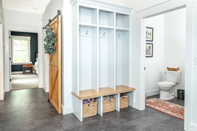 1284 E Zinnia Dr, Bloomington, IN 47401 - mudroom with baseboards and a barn door
