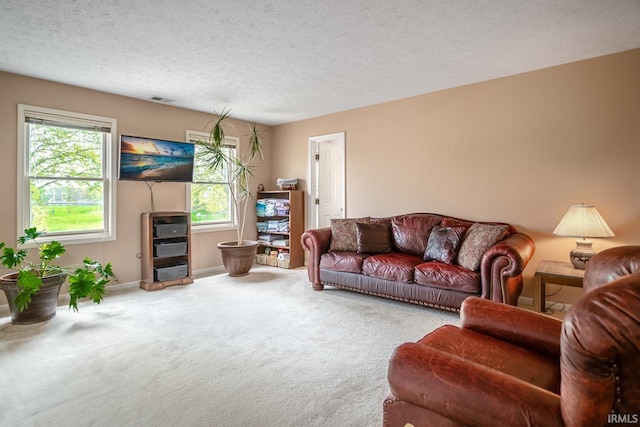 534 Lagrange St, West Lafayette, IN 47906 - living area featuring carpet floors, a textured ceiling, baseboards, and visible vents