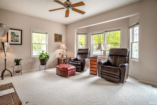534 Lagrange St, West Lafayette, IN 47906 - living area with baseboards, carpet flooring, a ceiling fan, and a wealth of natural light
