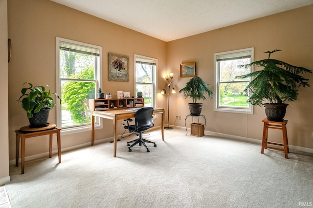 534 Lagrange St, West Lafayette, IN 47906 - office space featuring baseboards, carpet, and a healthy amount of sunlight