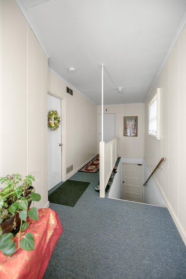 below grade area with carpet floors, visible vents, and a decorative wall