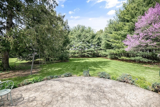 view of yard with a patio