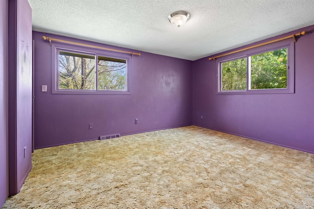 2877 County Road 36, Auburn, IN 46706 - empty room with visible vents, carpet, and a textured ceiling