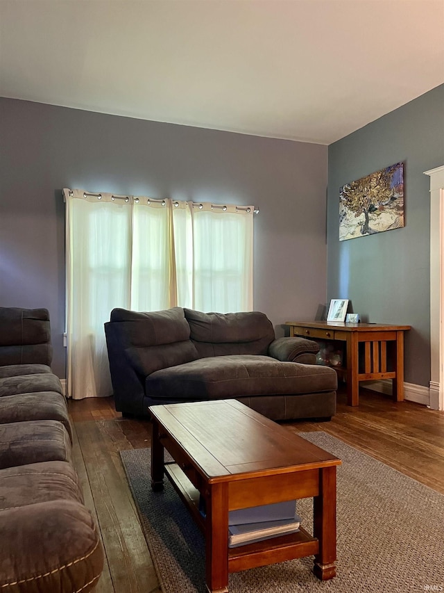 living room with wood-type flooring