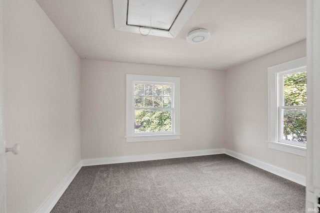 spare room with carpet flooring, baseboards, and plenty of natural light