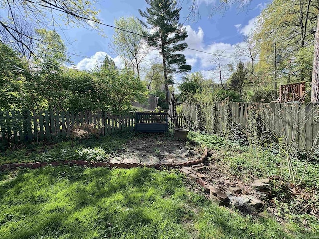 view of yard with a fenced backyard