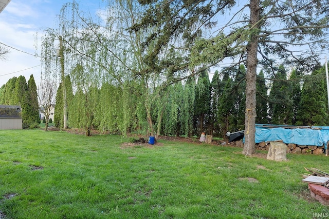 view of yard with a covered pool