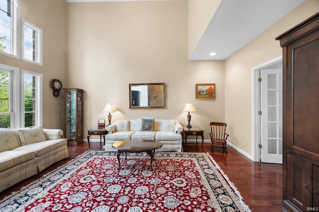 living area with baseboards, dark wood-style flooring, a towering ceiling, and a healthy amount of sunlight