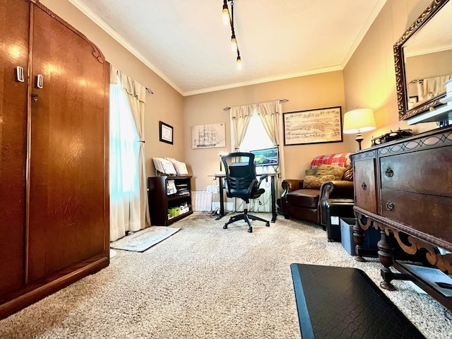 office space with crown molding, carpet, and rail lighting