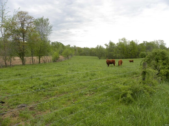 8207 Lehman Rd, Worthington, IN 47471 - view of yard with a view of rural / pastoral area