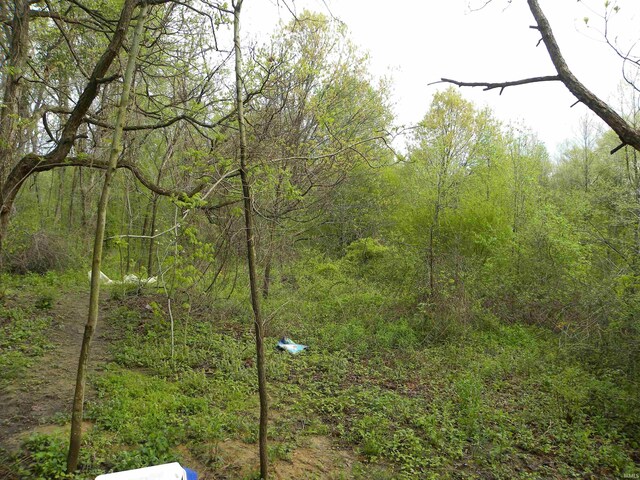 8207 Lehman Rd, Worthington, IN 47471 - view of tree filled area