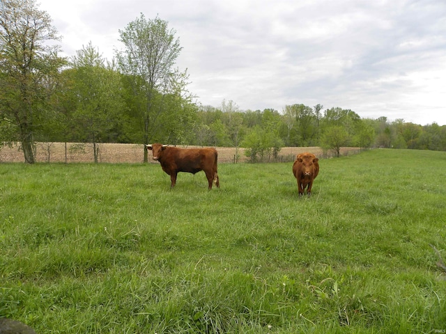 8207 Lehman Rd, Worthington, IN 47471 - view of yard featuring a rural view