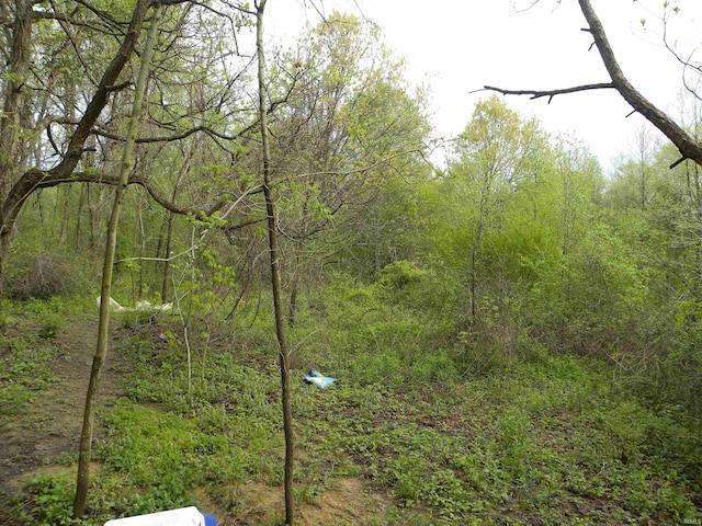 8207 Lehman Rd, Worthington, IN 47471 - view of tree filled area