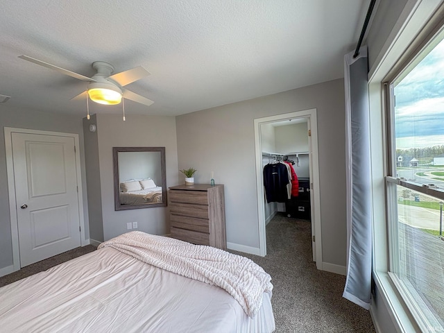bedroom featuring ceiling fan, a walk in closet, carpet, baseboards, and a closet