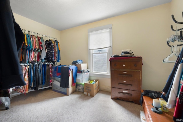 walk in closet featuring carpet flooring