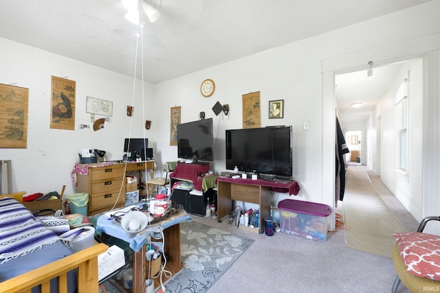 living room with carpet flooring