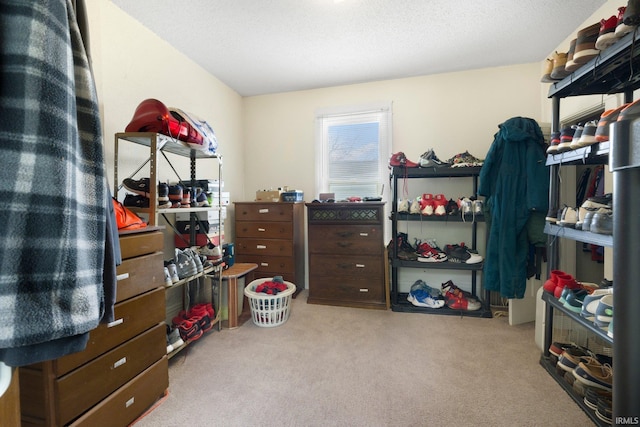 spacious closet featuring carpet flooring