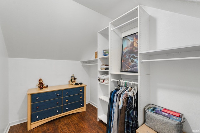 1206 Phaeton Way, Auburn, IN 46706 - walk in closet with vaulted ceiling and dark wood-type flooring