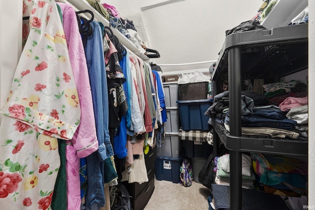 walk in closet with carpet flooring