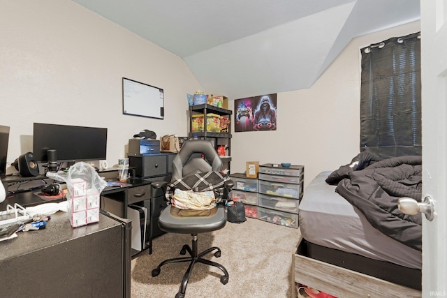 office space featuring carpet and vaulted ceiling