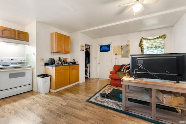 kitchen with light wood-style floors, ceiling fan, white electric range, under cabinet range hood, and brown cabinets