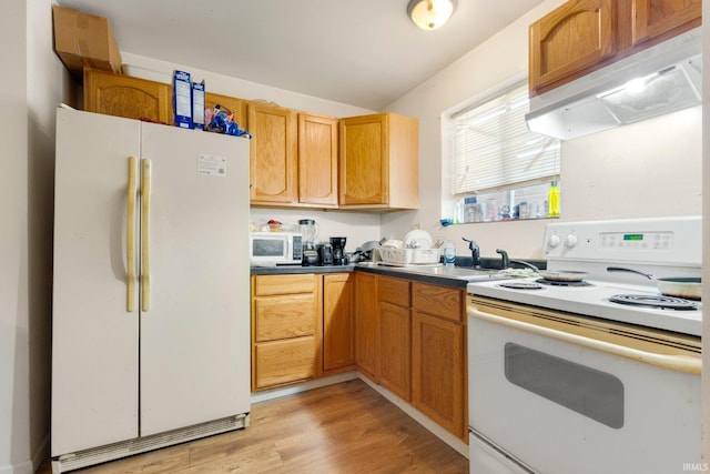 kitchen with dark countertops, light wood-type flooring, a sink, under cabinet range hood, and white appliances