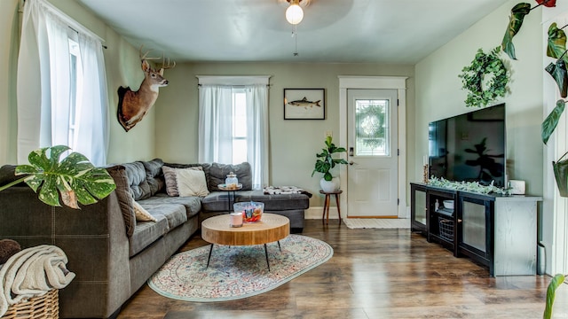 living area with a ceiling fan and wood finished floors