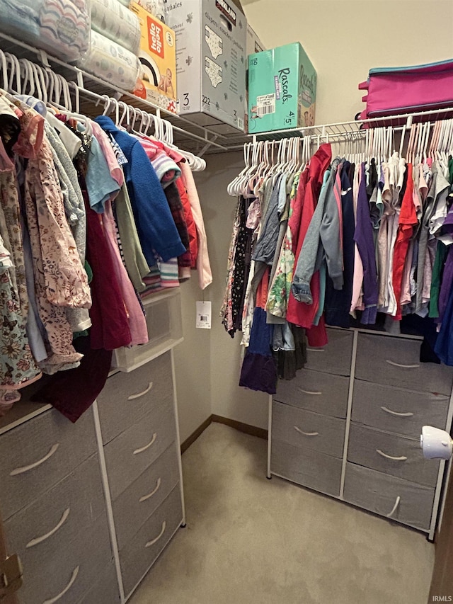 walk in closet featuring carpet floors