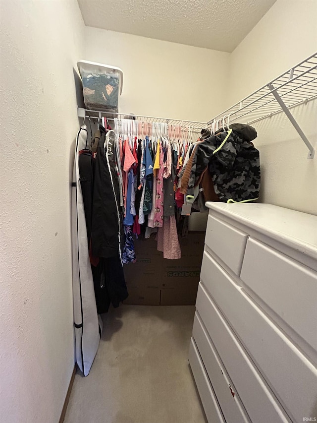 spacious closet with light carpet