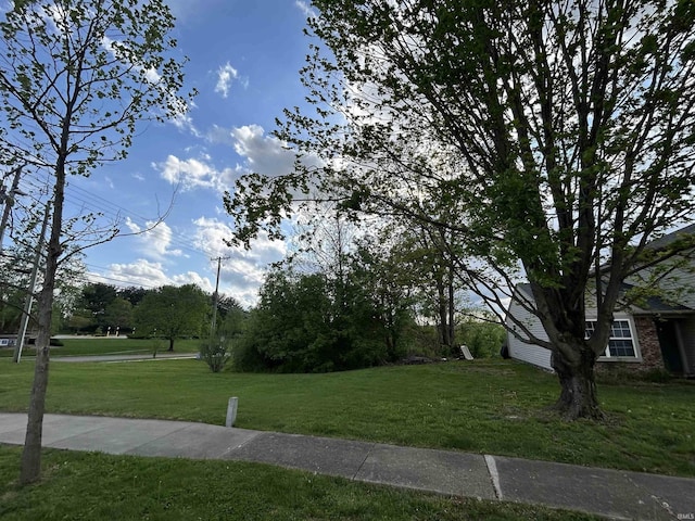 view of road