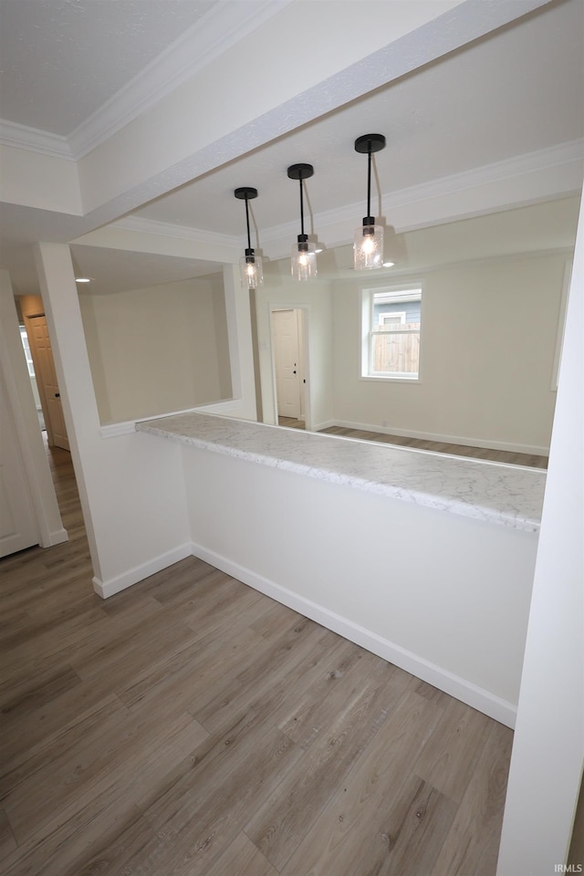 bar featuring baseboards, ornamental molding, wood finished floors, and hanging light fixtures