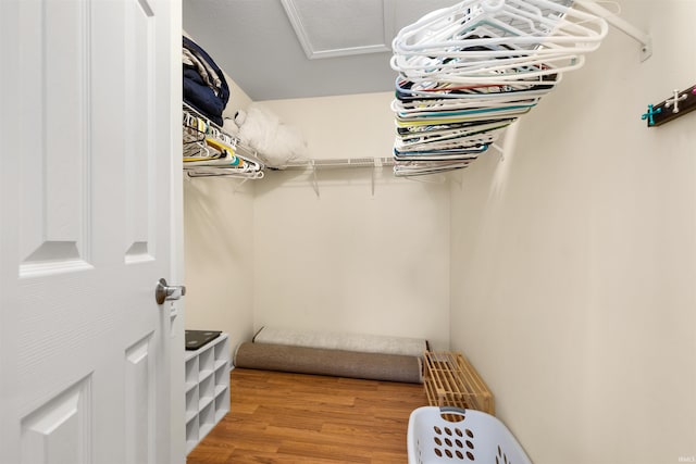 walk in closet with wood finished floors