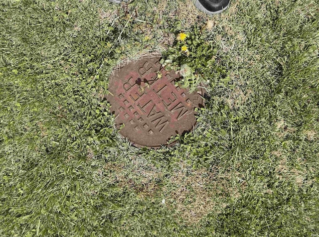view of details
