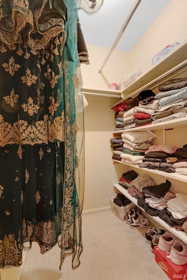 walk in closet with carpet floors
