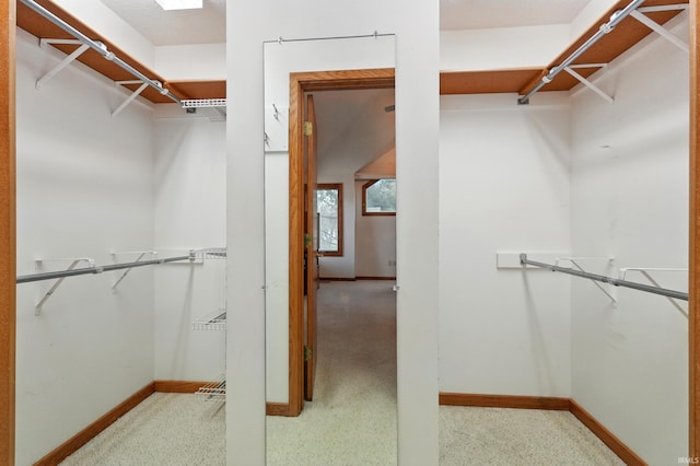 view of spacious closet