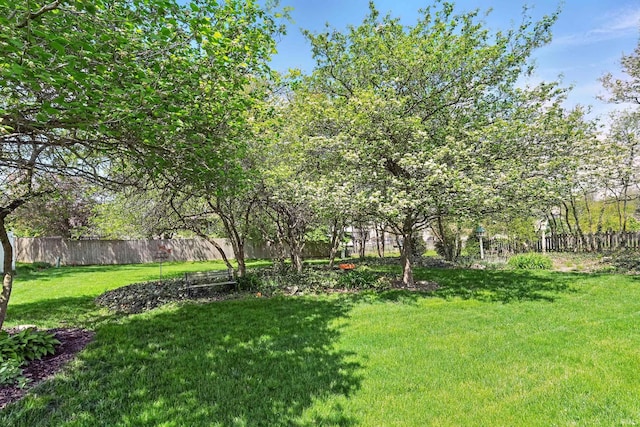 view of yard with fence