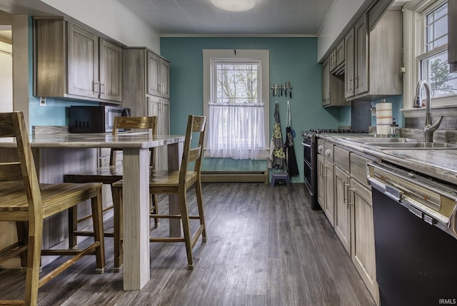 2165 S 625 W, South Whitley, IN 46787 - kitchen featuring crown molding, appliances with stainless steel finishes, a sink, dark wood finished floors, and a baseboard radiator
