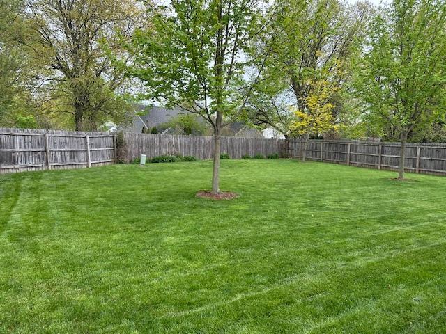 8615 Timbermill Pl, Fort Wayne, IN 46804 - view of yard