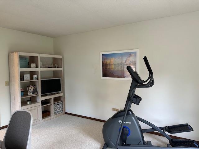 8615 Timbermill Pl, Fort Wayne, IN 46804 - workout room featuring baseboards and light colored carpet